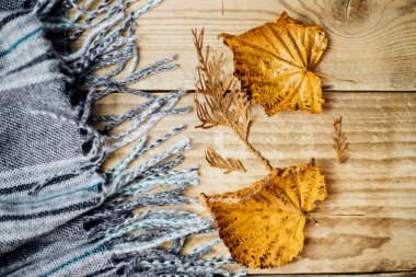 Hafif ahşap arka planda kenarları olan yumuşak ekose bir eşarp var. Sonbahar yaprakları yakınlarda serpilmiş. Yumuşak gri kumaş. Soğuk bir sonbaharda konfor ve sıcaklık kavramı.