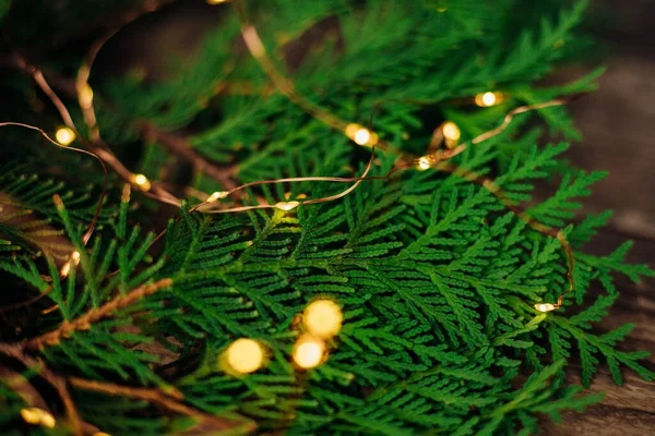 Hintergrund Der Weihnachtsbeleuchtung Aus Grünen Thuja Zweigen Auf Der Braunen — Stockfoto