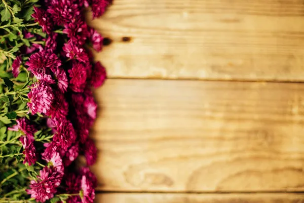 Fleurs Violettes Sur Fond Bois Brun Antique Petits Chrysanthèmes Automne — Photo