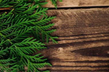 Tahta tahtaların kahverengi yüzeyinde, thuja ağacının kabarık yeşil dalları. Noel ve Yeni Yıl. Şenlik arka planı. Metin için boş boşluk.