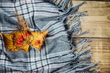 Hafif ahşap arka planda kenarları olan yumuşak ekose bir eşarp var. Sonbahar yaprakları yakınlarda serpilmiş. Yumuşak gri kumaş. Soğuk bir sonbaharda konfor ve sıcaklık kavramı.