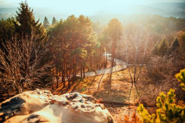 Yüksek bir dağdan doğa manzarası. Ağaçların arasında dolambaçlı bir yol. Orman ya da park. Güneşin ışınları ve mavi gökyüzü.
