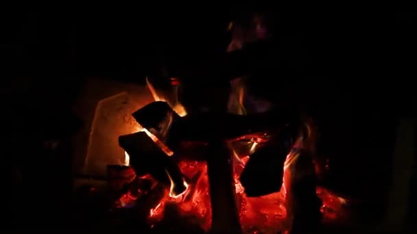Bonfire Close Burning Tree Orange Flame Campfire Preparation Coals Barbecue — Stockvideo