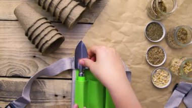 Top view of seeds and garden tools on a wooden background. Women's hands prepare seedlings for the season.Growing seedlings using peat cups. The concept of spring gardening at home.