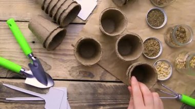 Top view of seeds and garden tools on a wooden background. Women's hands prepare seedlings for the season.Growing seedlings using peat cups. The concept of spring gardening at home.