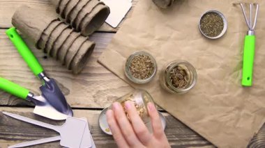 Top view of seeds and garden tools on a wooden background. Women's hands prepare seedlings for the season.Growing seedlings using peat cups. The concept of spring gardening at home.