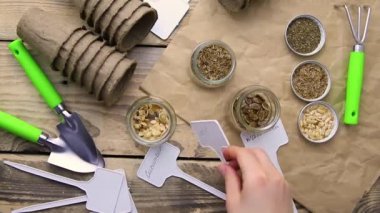 Top view of seeds and garden tools on a wooden background. Women's hands prepare seedlings for the season.Growing seedlings using peat cups. The concept of spring gardening at home.