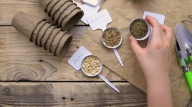 Top view of seeds and garden tools on a wooden background. Women's hands prepare seedlings for the season.Growing seedlings using peat cups. The concept of spring gardening at home.