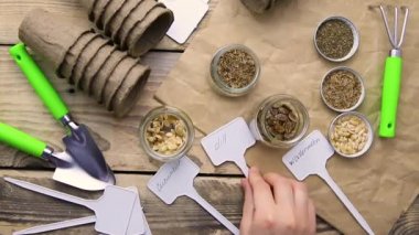Top view of seeds and garden tools on a wooden background. Women's hands prepare seedlings for the season.Growing seedlings using peat cups. The concept of spring gardening at home.