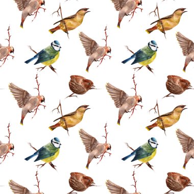 Kuşlarda kusursuz desen