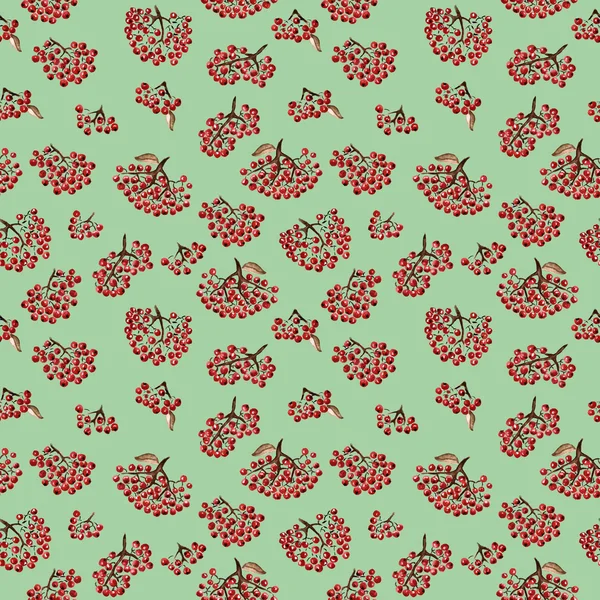 Seamless pattern with rowan — Stock Photo, Image