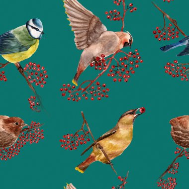 Kuşlarda kusursuz desen