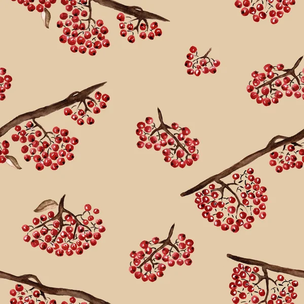 Seamless pattern with rowan — Stock Photo, Image