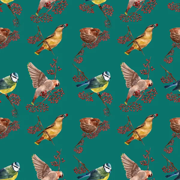 Seamless pattern with birds — Stock Photo, Image