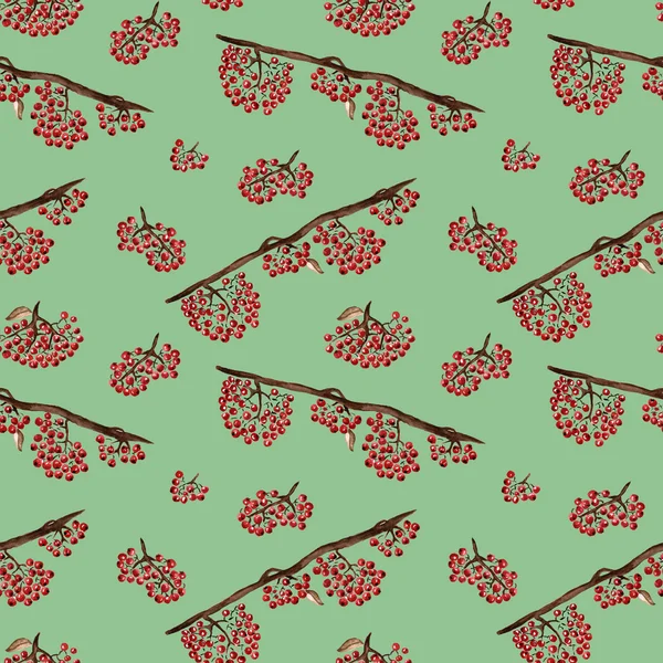 Seamless pattern with rowan — Stock Photo, Image