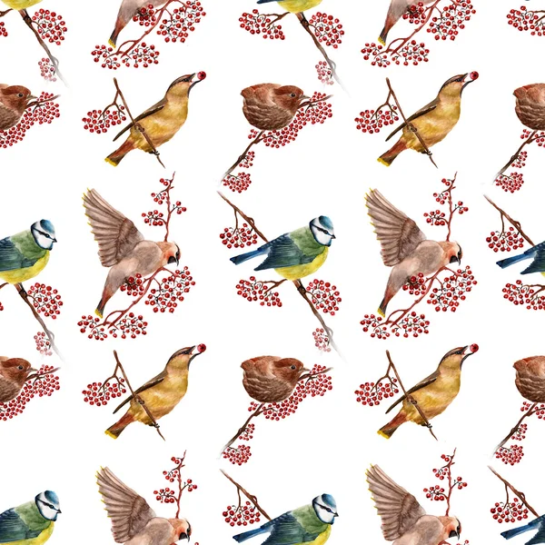 Seamless pattern with birds — Stock Photo, Image