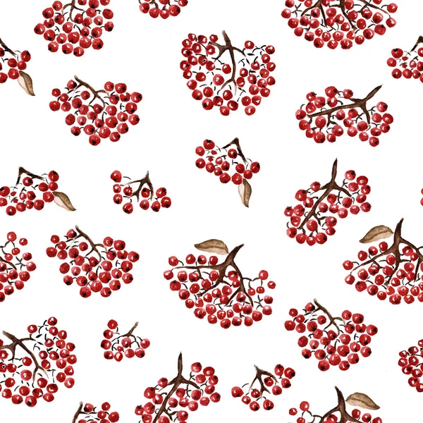 Seamless pattern with rowan — Stock Photo, Image