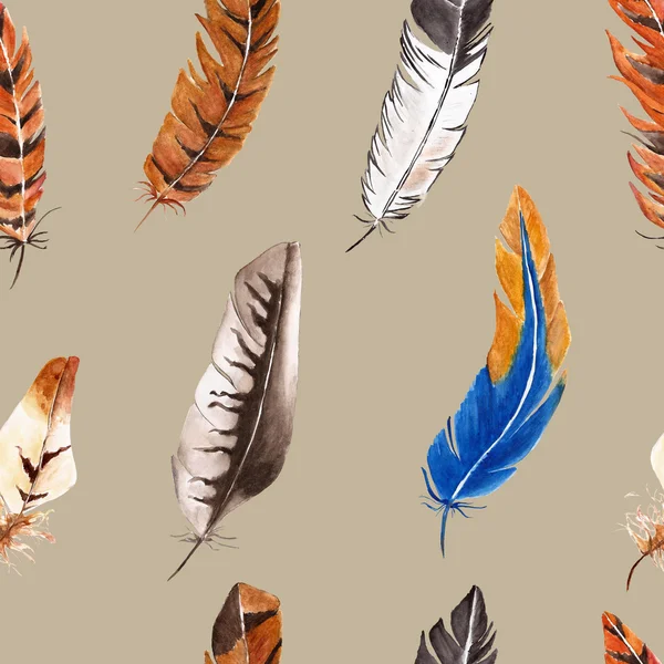 Seamless pattern with feather — Stock Photo, Image