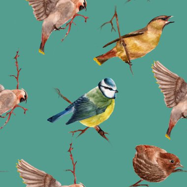 Kuşlarda kusursuz desen