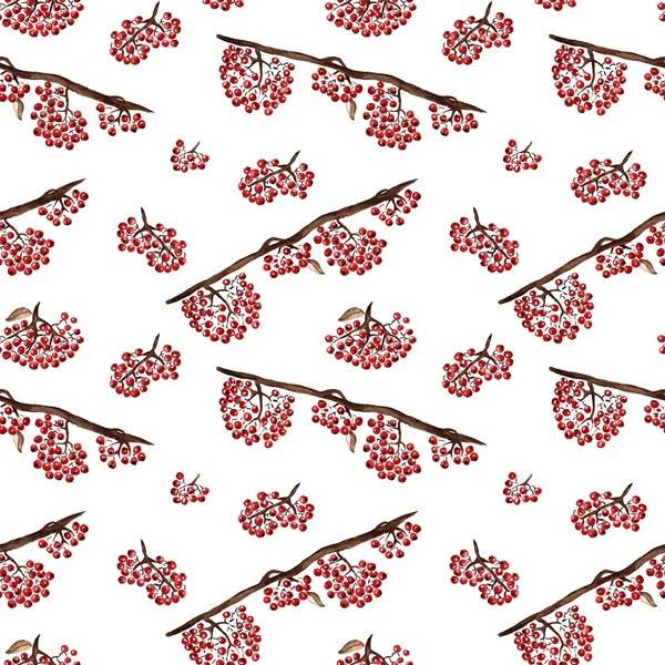 Seamless pattern with rowan — Stock Photo, Image