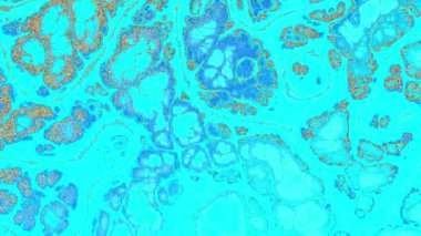 Psikedelik hareket arkaplanı