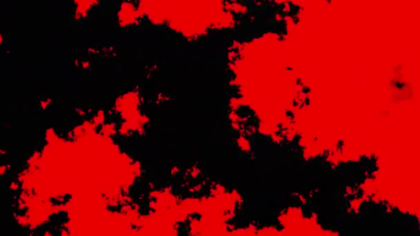 要旨波状ループ4Kビデオ ループ再生のためのシームレス抽象的なサイケデリックな背景 赤と黒のビデオ — ストック動画