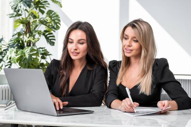 İki ofis kadını birlikte çalışıyor, laptop iş odasında, klavyeye yazıp not alıyorlar. İş sekreteri ve takım çalışması kavramı