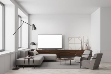 Gri mobilyalar, kanepe ve koltuklar halıda, parke döşeme beyaz dairede. Boş televizyon görüntüsünü dekorasyonlu ahşap bir komodine kopyala. 3B görüntüleme