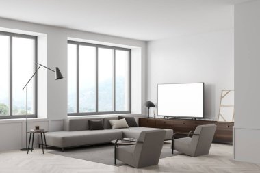 Gri mobilyaları, yan manzarası, koltuğu ve koltukları halıda, parke döşemesi beyaz dairede. Boş TV görüntüsünü dekorasyonla birlikte klozete kopyala. 3B görüntüleme