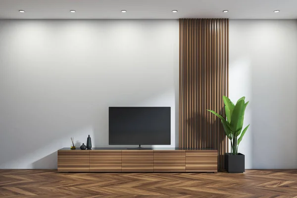 Modern Hall Room Interior Screen Wooden Drawer Plant Parquet Floor — Stock Photo, Image