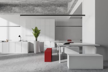 Resepsiyonlu hafif endüstriyel ofis, masada kitaplar ve minimalist koltuklar. Gri beton zeminde beyaz raf ve bitki. Modern çatı katında ortak çalışma alanı, 3B oluşturma