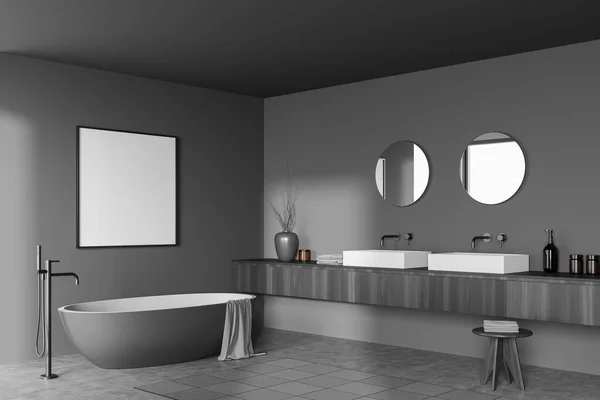 Gri Banyo Içi Monte Edilmiş Mikser Küvet Iki Lavabo Ayna — Stok fotoğraf