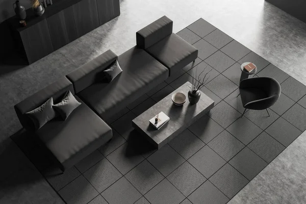 Top view of dark relaxing room interior with sofa and armchair on carpet, drawer with art decoration, grey concrete floor. Coffee table with books and vase. 3D rendering