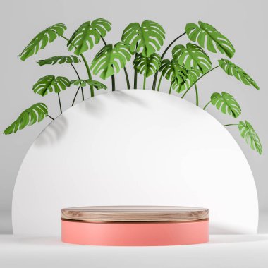 Wooden platform and white background, monstera plant in row for decoration. Mockup copy space for product display, advertising goods. 3D rendering