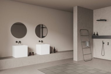 Çift lavabo, ayna, duş ve havlu merdiveni olan bej bir banyo köşesi, yan manzara, gri beton zeminde halı. Otel dairesinde çamaşır yıkama yeri. 3B görüntüleme