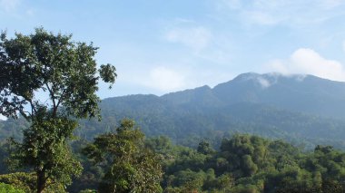 Güzel dağ ormanı manzarası, Cidahu sukabumi westjava
