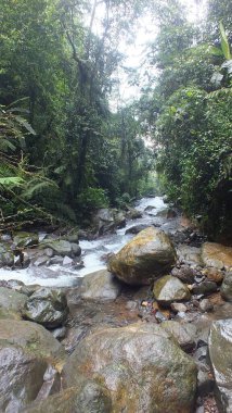 Şelale arka planlı nehir kayası, cidahu sukabumi batı java