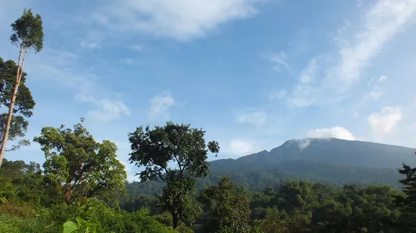 Hermoso Paisaje Bosque Montaña Por Mañana Cidahu Sukabumi Westjava —  Fotos de Stock