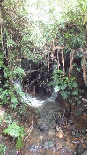 Río Roca Con Fondo Cascada Cidahu Sukabumi Oeste Java —  Fotos de Stock