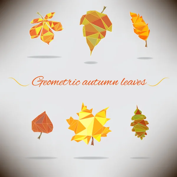 Conjunto de folhas de outono geométricas coloridas — Vetor de Stock