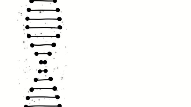 Molécula brilhante de ADN rotativa sobre fundo branco. Desenho conceitual da informação genética — Vídeo de Stock