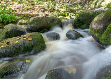 Kayalar arasında küçük, vahşi ve hızlı bir nehir akıntısı olan manzara, uzun vadede su, kayalar, ağaçlar ve sonbahar yaprakları, doğada sonbahar.