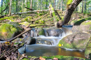 Kayalar arasında küçük, vahşi ve hızlı bir nehir akıntısı olan manzara, uzun vadede su, kayalar, ağaçlar ve sonbahar yaprakları, doğada sonbahar.