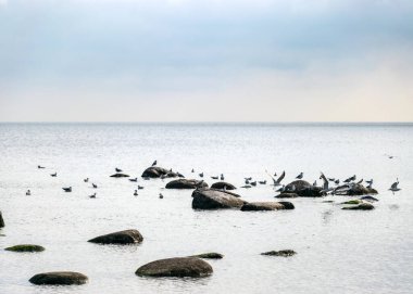 Kaya kaplı bir plajı, denizde taş siluetleri olan bir manzara.