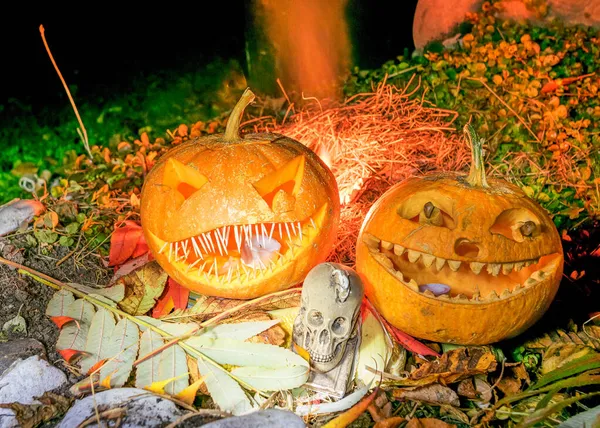 Halloween Composition Smiling Pumpkins Halloween Accessories Corn Cobs Skull Lanterns — Stock Photo, Image