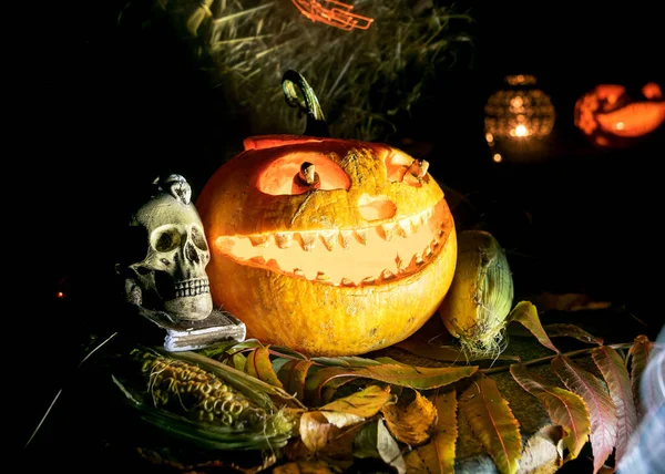 Cadılar Bayramı kompozisyonu, karanlıkta gülümseyen balkabakları, Cadılar Bayramı aksesuarları, mısır koçanları, kafatası, sonbaharda cadılar bayramı, oyulmuş balkabağı.