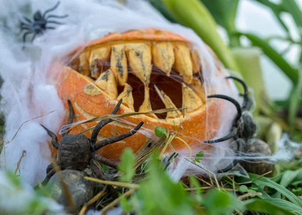 Halloween Motyw Rzeźbiona Dynia Przerażającym Uśmiechem Pająki Pajęczyny Czaszka Jesienne — Zdjęcie stockowe