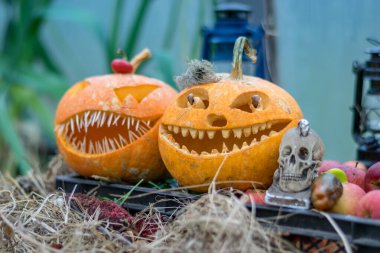 Cadılar Bayramı teması, korkutucu bir gülümsemeyle oyulmuş balkabağı, örümcekler ve örümcek ağları, kafatası, sonbahar kuru yaprakları, çimen arka planı, dekorasyon ve tatil konsepti, eğlenceli bir parti için oyulmuş balkabağı