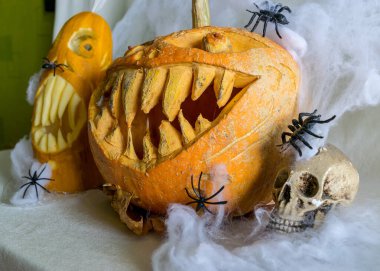 Cadılar Bayramı teması, korkutucu bir gülümsemeyle oyulmuş balkabağı örümcekler, kafatası, beyaz örümcek ağı arka planı dekorasyon ve tatil konsepti, eğlenceli bir parti için oyulmuş balkabağı, Jack O 'nun feneri.
