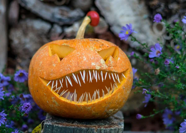 Halloween Thema Geschnitzter Kürbis Mit Einem Gruseligen Lächeln Spinnen Und — Stockfoto